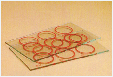 6 Circle Slide Transparent Background